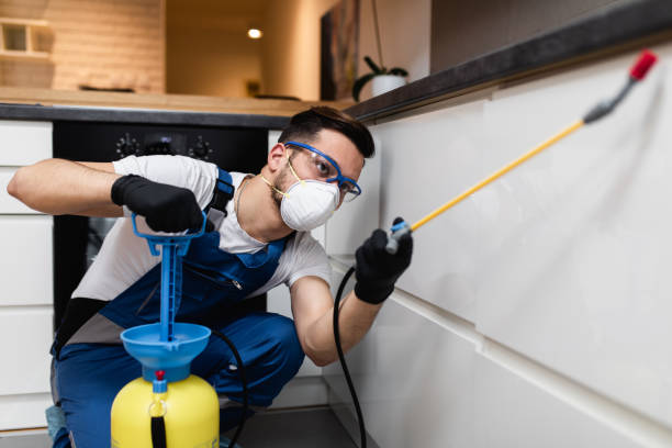 Best Wasp Removal Services  in Pewee Valley, KY