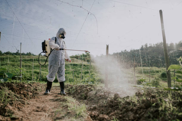 Pest Prevention Services in Pewee Valley, KY