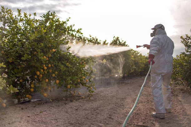 Wasp Removal Services in Pewee Valley, KY